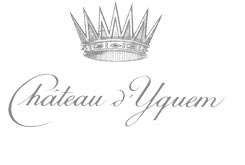 Château D'Yquem